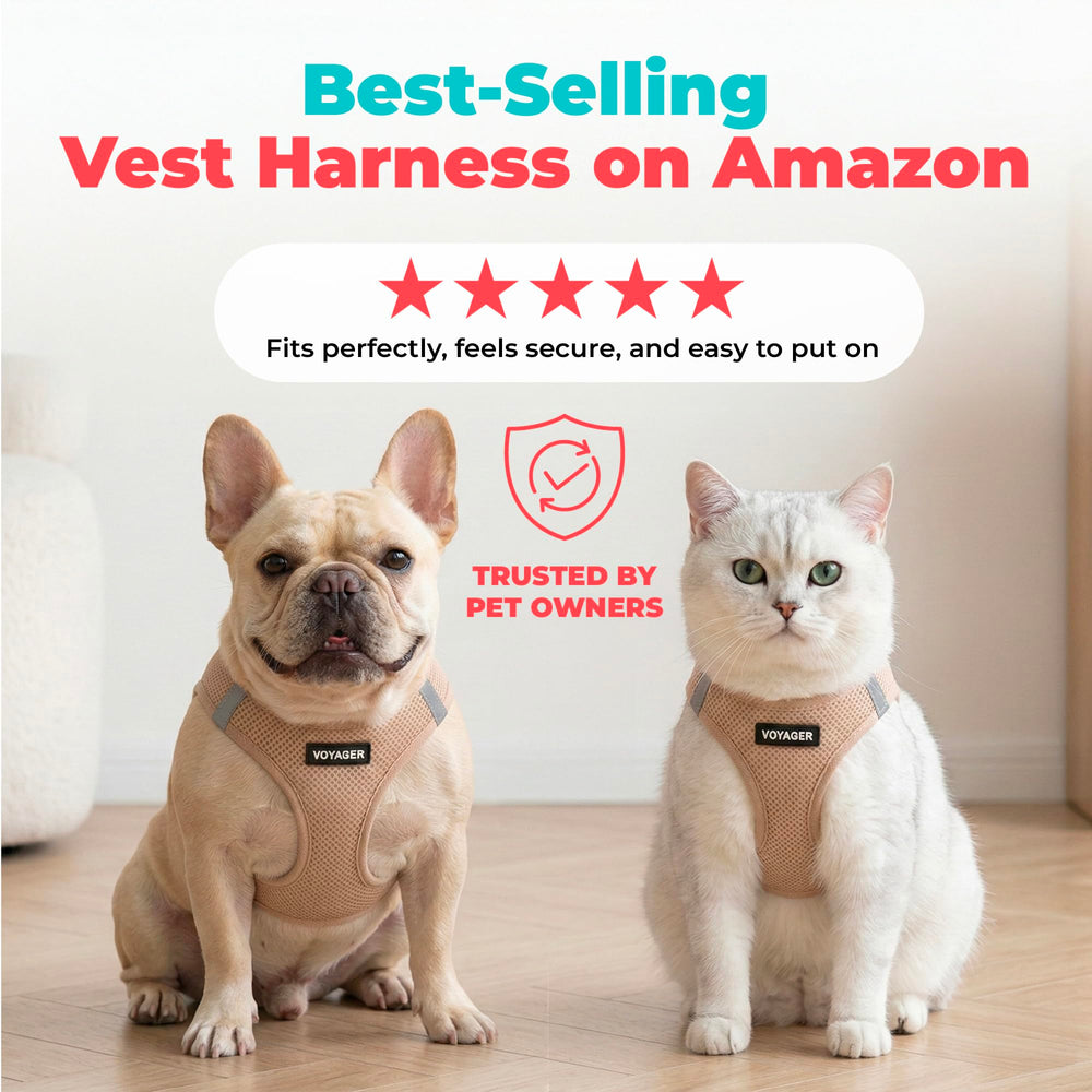 Best Pet Supplies profil du harnais montrant coupe ergonomique