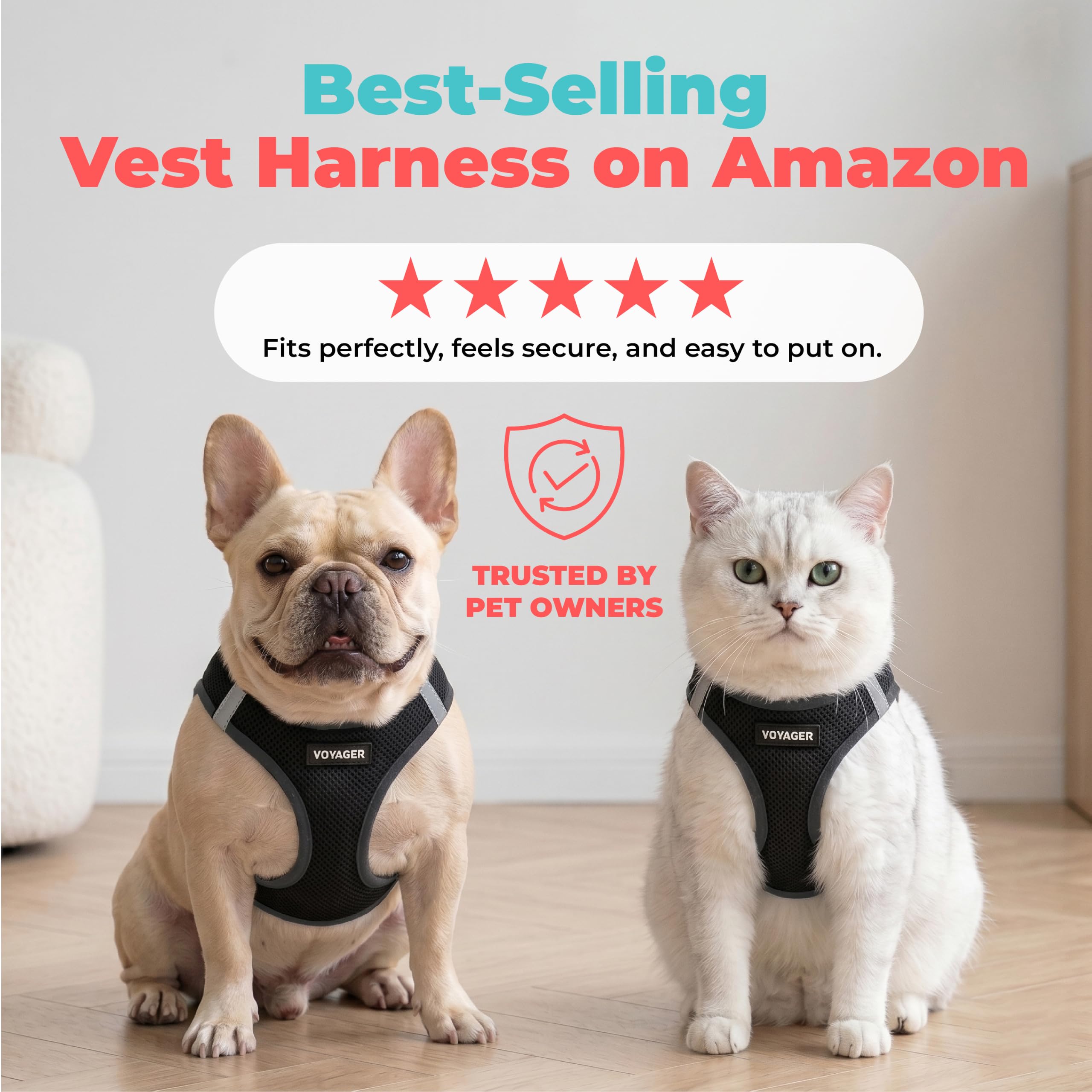 Best Pet Supplies harnais Voyager chien en promenade démontrant confort et liberté