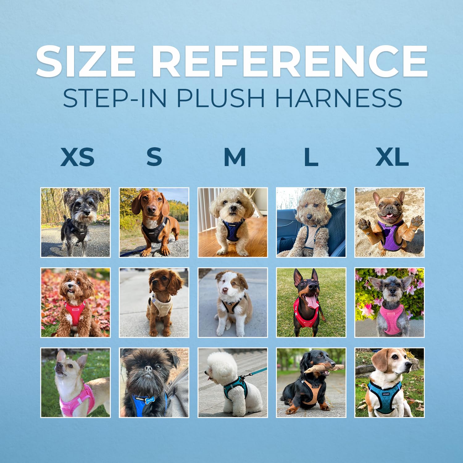 Best Pet Supplies harnais Voyager chien enfilant step-in facilité d’usage