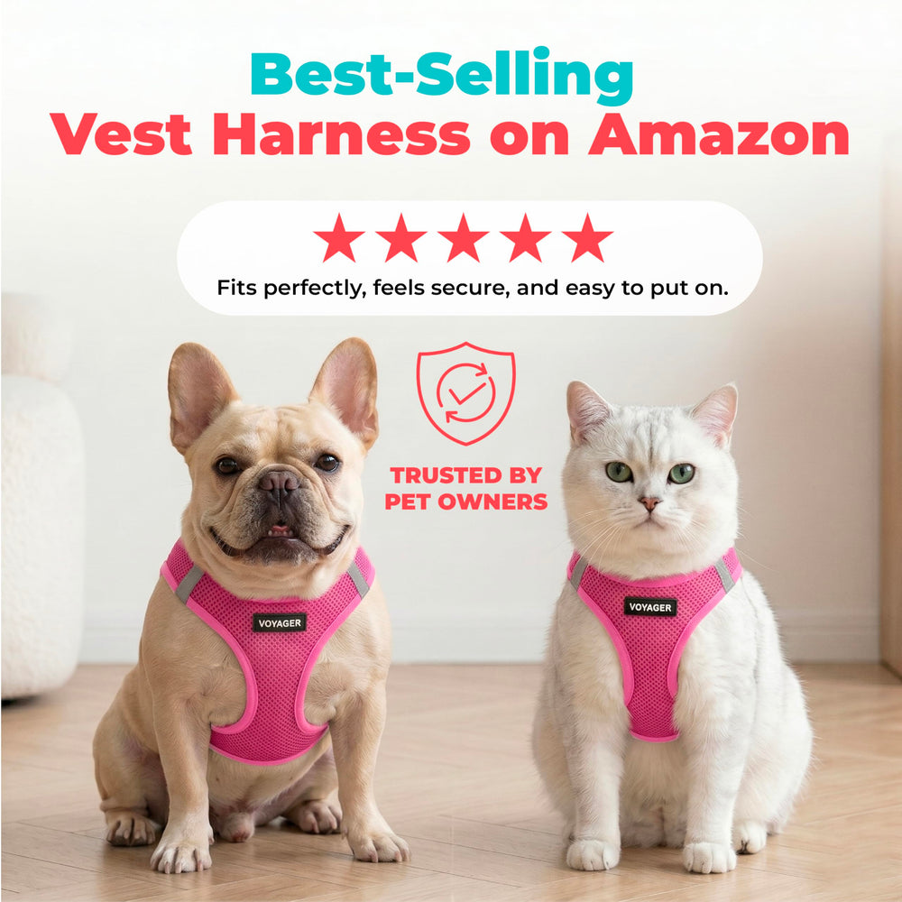Best Pet Supplies enfilage step-in sur un chiot, pose facile en une étape