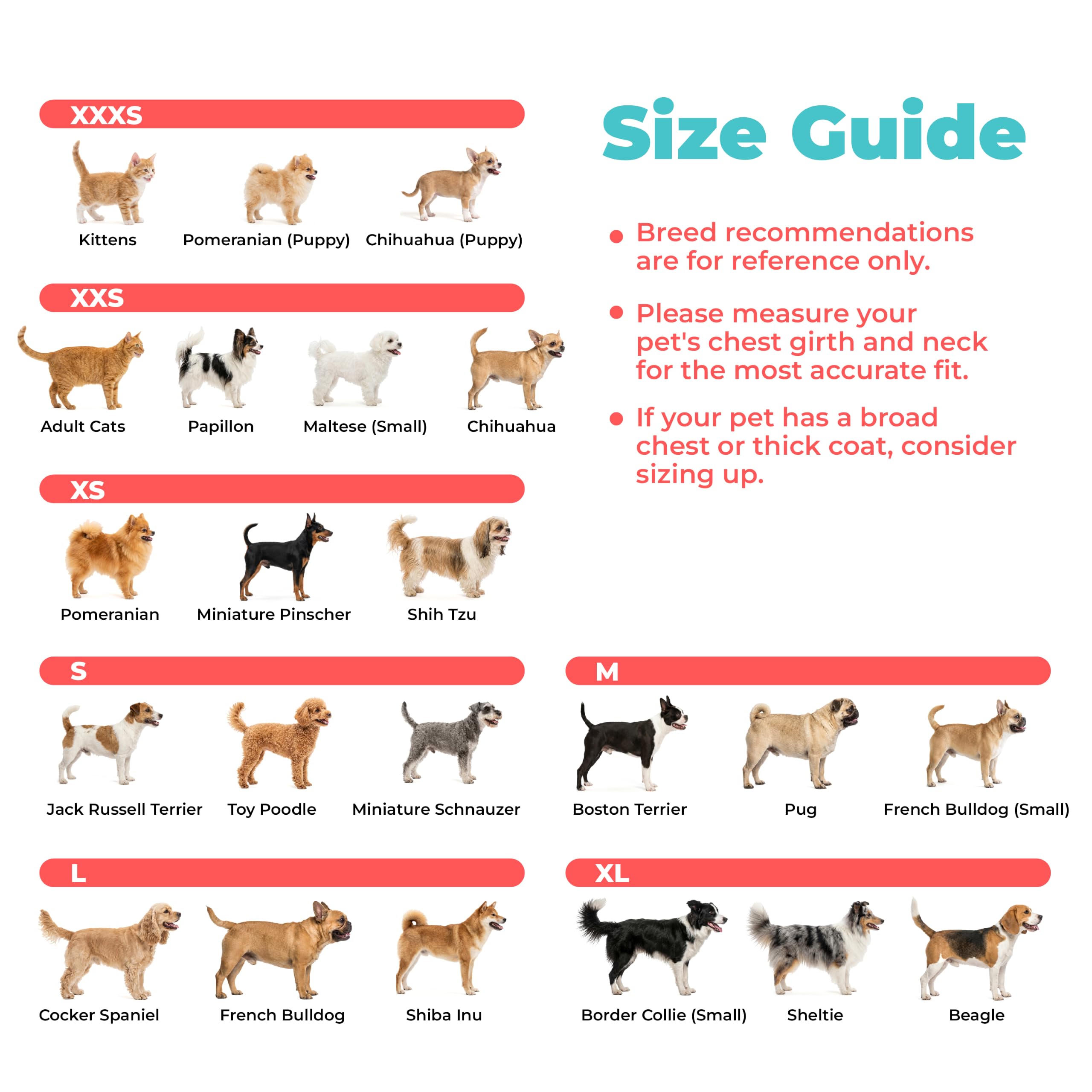 Best Pet Supplies harnais étiquette et guide tailles pour choix précis