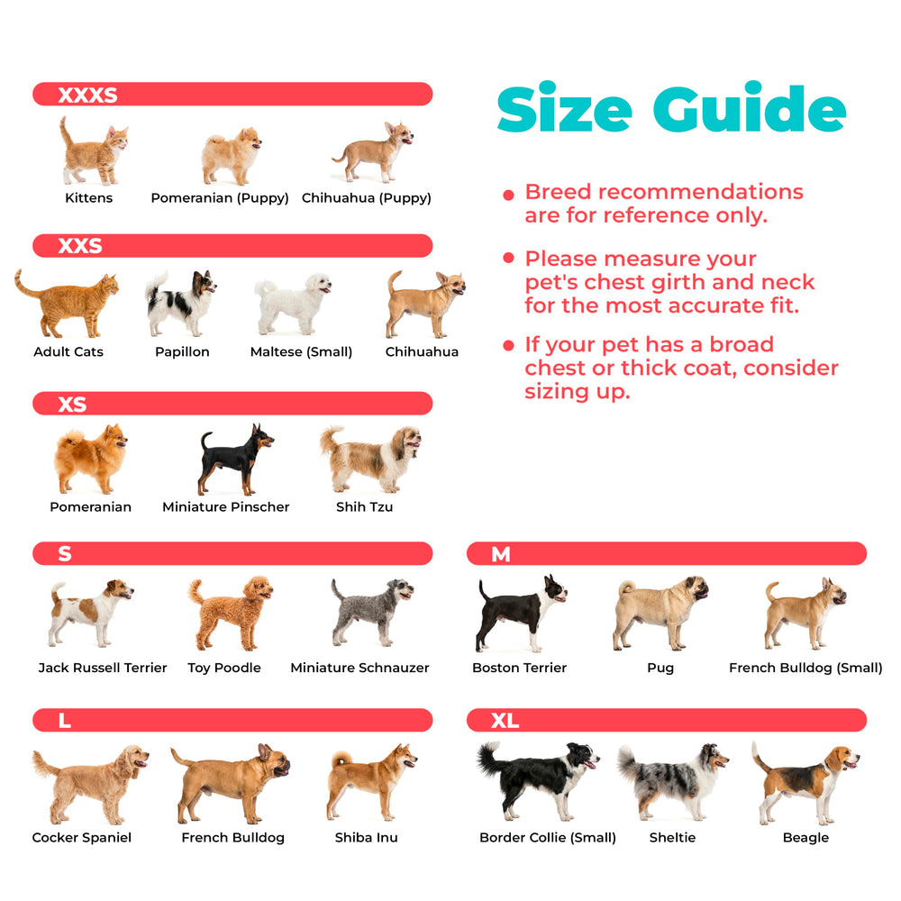 Best Pet Supplies harnais étiquette et guide tailles pour choix précis