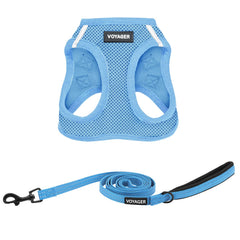 Best Pet Supplies harnais face avant montrant ajustement et confort