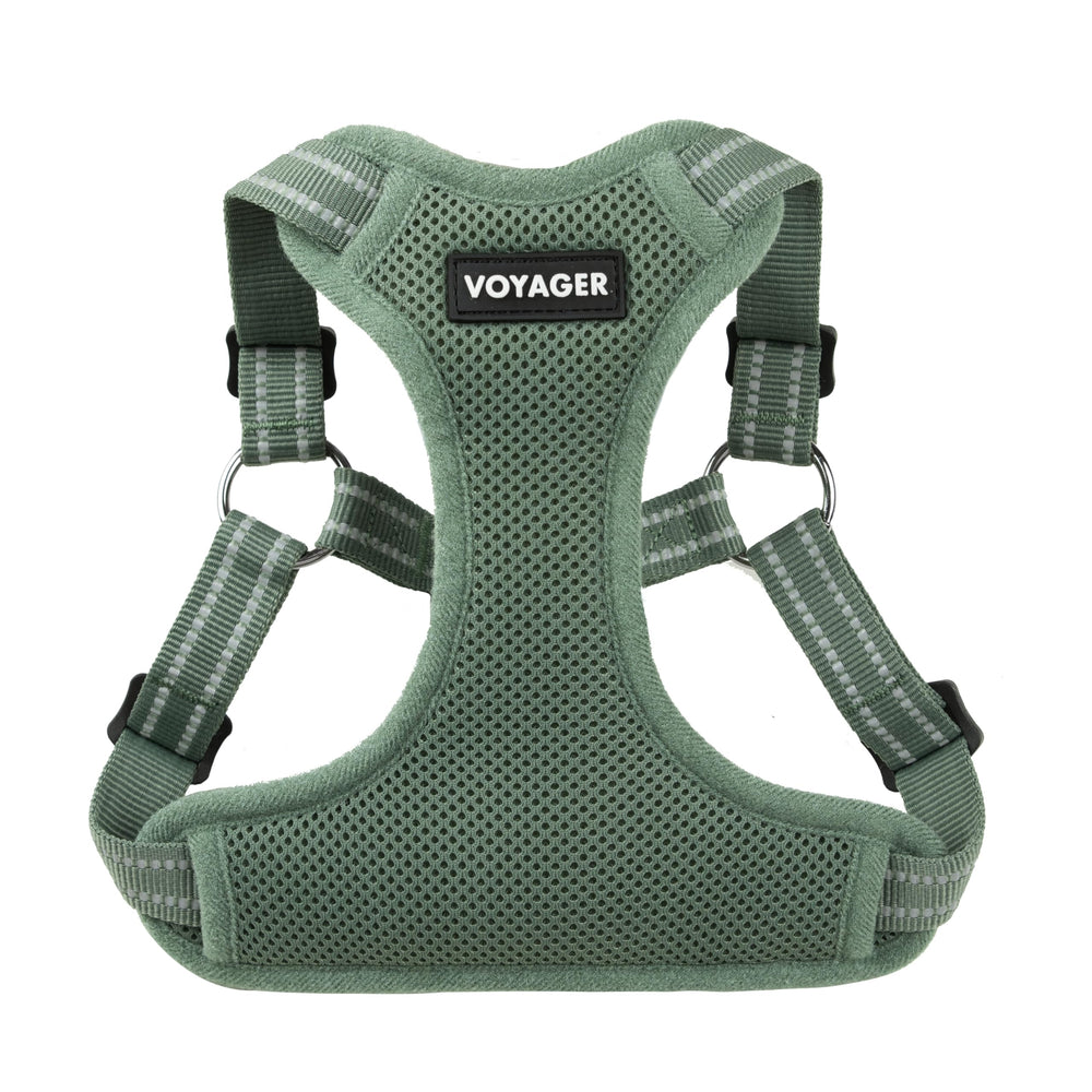 Best Pet Supplies harnais vue avant montrant coupe ajustée et confort