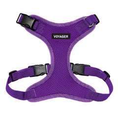 Best Pet Supplies harnais face montrant coupe ajustée et confort