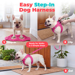 Best Pet Supplies boucle et scratch solides, sécurité lors des attaches