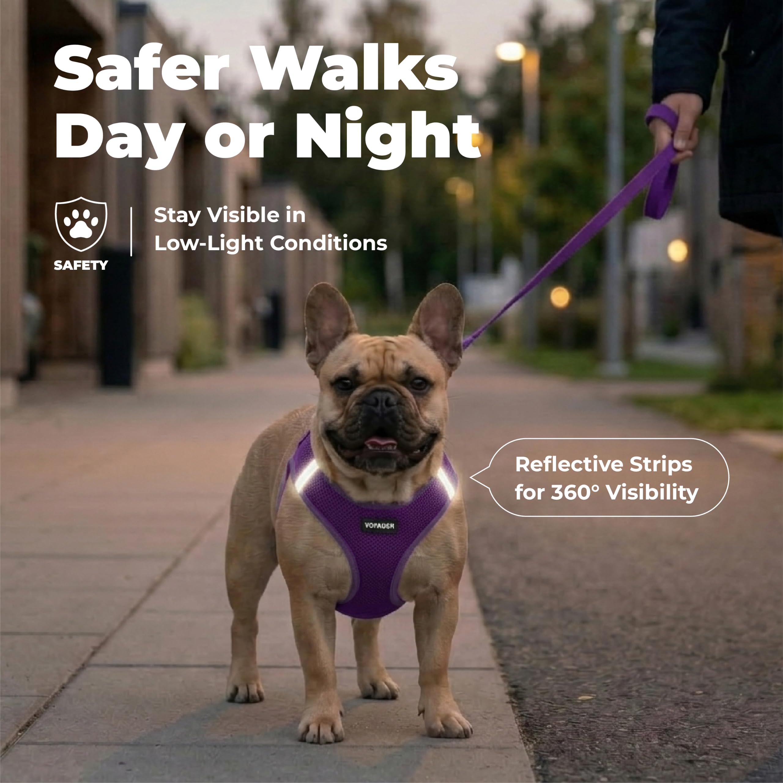 Best Pet Supplies harnais bandes réfléchissantes visibles pour sécurité nocturne