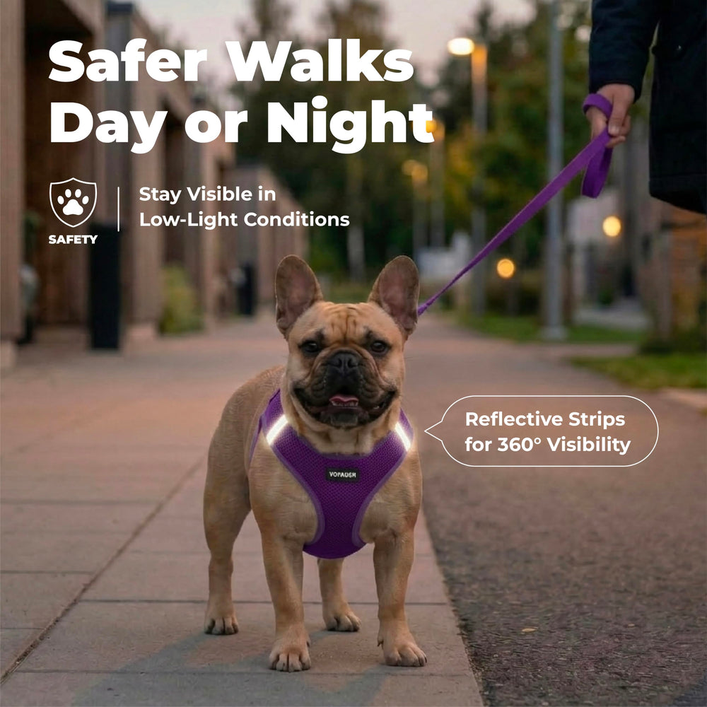 Best Pet Supplies harnais bandes réfléchissantes visibles pour sécurité nocturne
