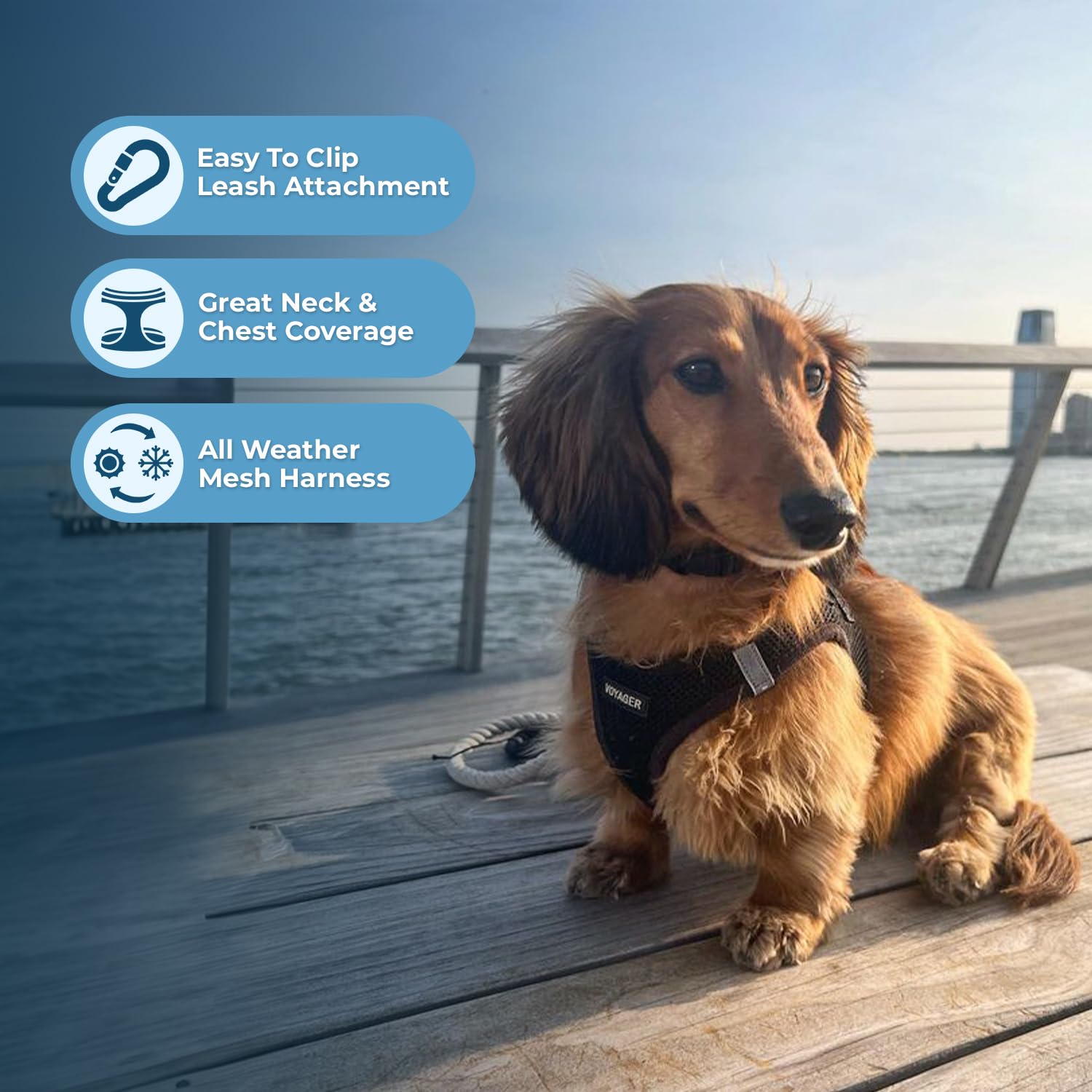 Best Pet Supplies gros plan maille respirante pour confort et évacuation