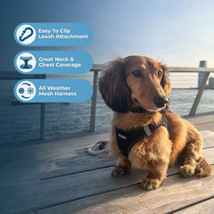 Best Pet Supplies gros plan maille respirante pour confort et évacuation