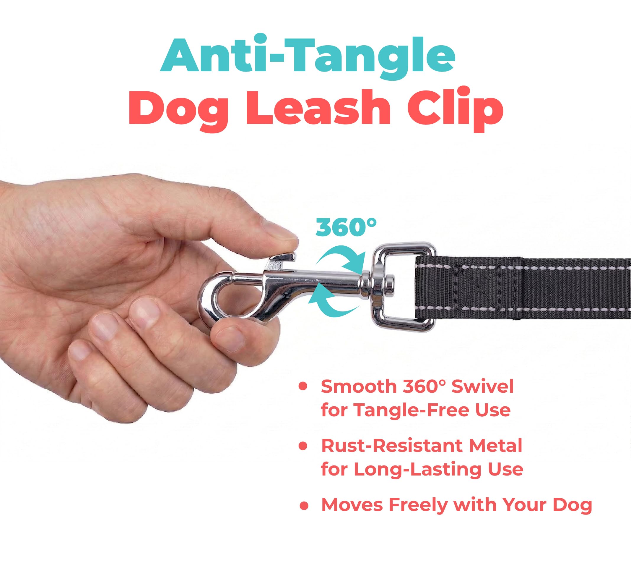 Best Pet Supplies laisse Voyager utilisée au parc avec chien, tenue stable pour activité extérieure