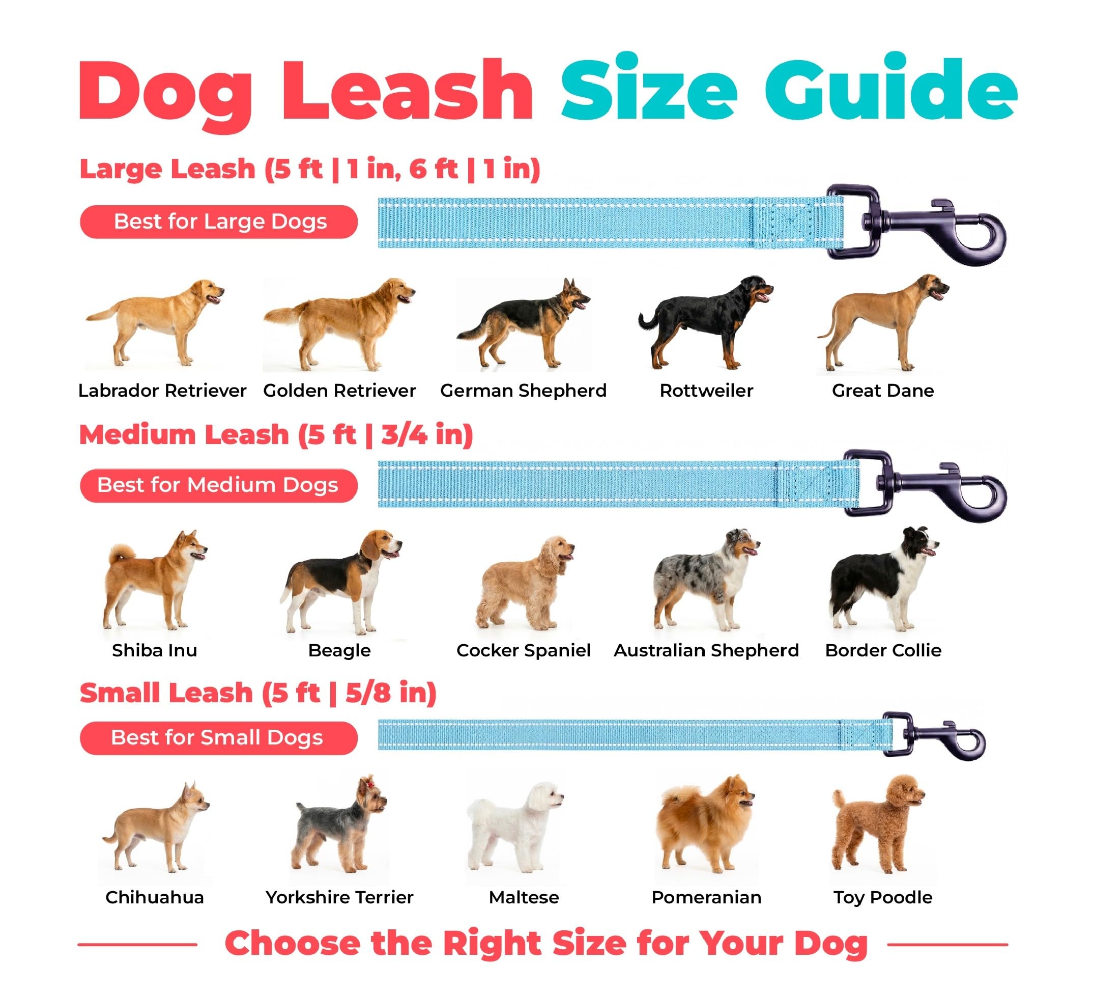 Best Pet Supplies laisse attachée à harnais step-in, association pratique et élégante