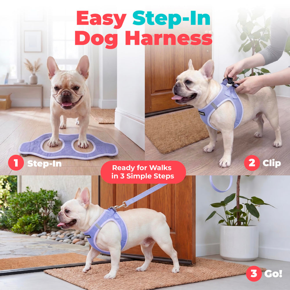 Best Pet Supplies boucle et velcro du Voyager, maintien sécurisé