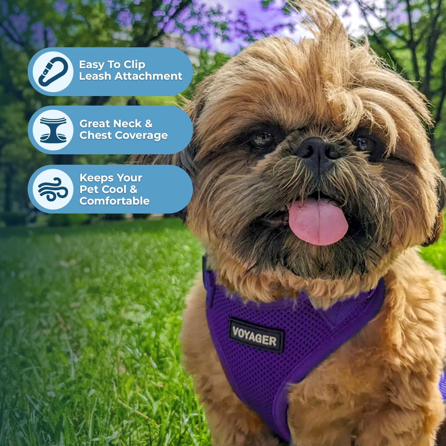 Best Pet Supplies zoom maille aérée montrant respirabilité et douceur