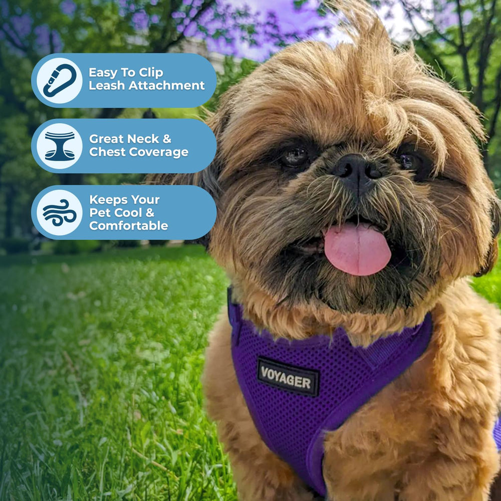 Best Pet Supplies zoom maille aérée montrant respirabilité et douceur