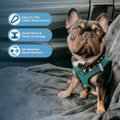 Best Pet Supplies maille air mesh vue rapprochée, respirabilité pour confort