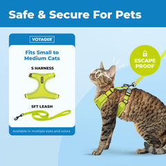 Best Pet Supplies gros plan maillage air mesh respirant pour confort