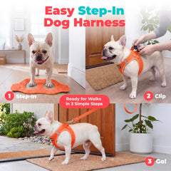 Best Pet Supplies gros plan du mesh respirant offrant confort et séchage rapide