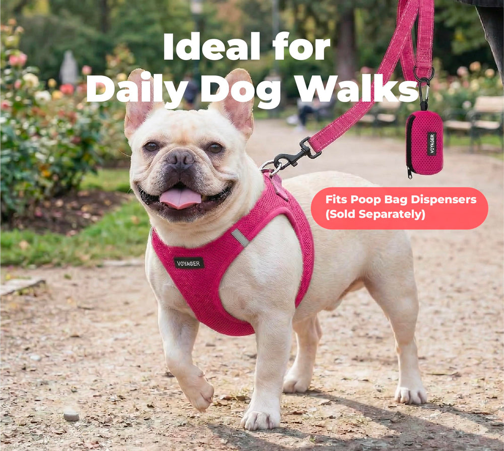 Best Pet Supplies Voyager détail du nylon résistant montrant la durabilité et l’étanchéité
