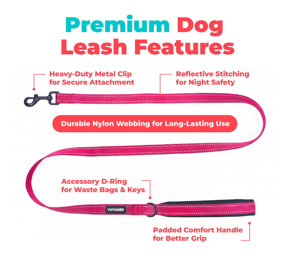 Best Pet Supplies Voyager poignée en néoprène pour confort prolongé lors des promenades