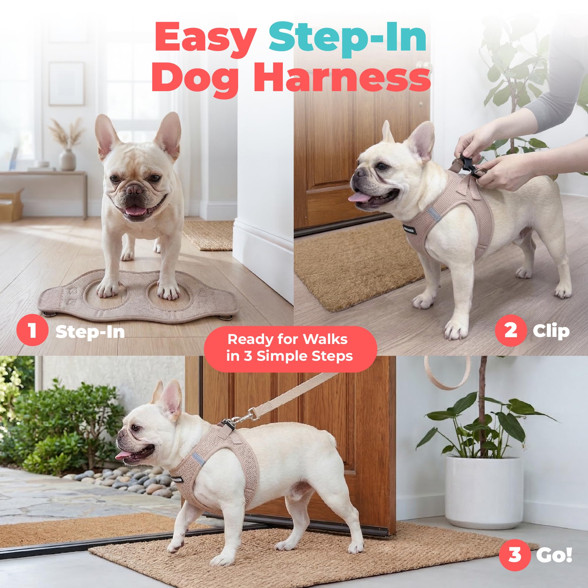 Best Pet Supplies bandes réfléchissantes pour meilleure visibilité