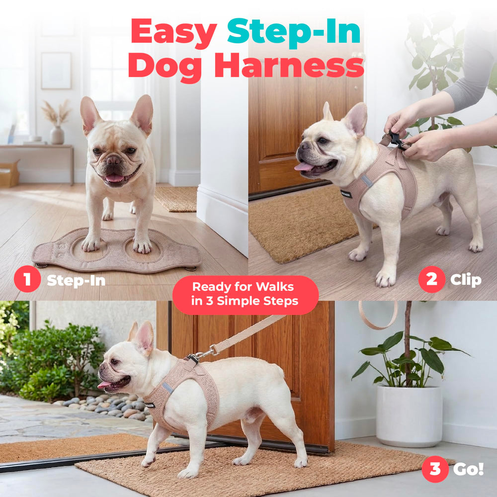 Best Pet Supplies bandes réfléchissantes pour meilleure visibilité