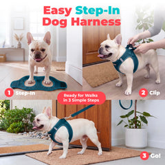 Best Pet Supplies bandes réfléchissantes pour visibilité accrue la nuit