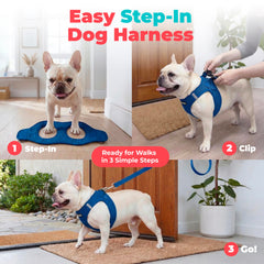 Best Pet Supplies harnais Voyager bandes réfléchissantes visibles la nuit