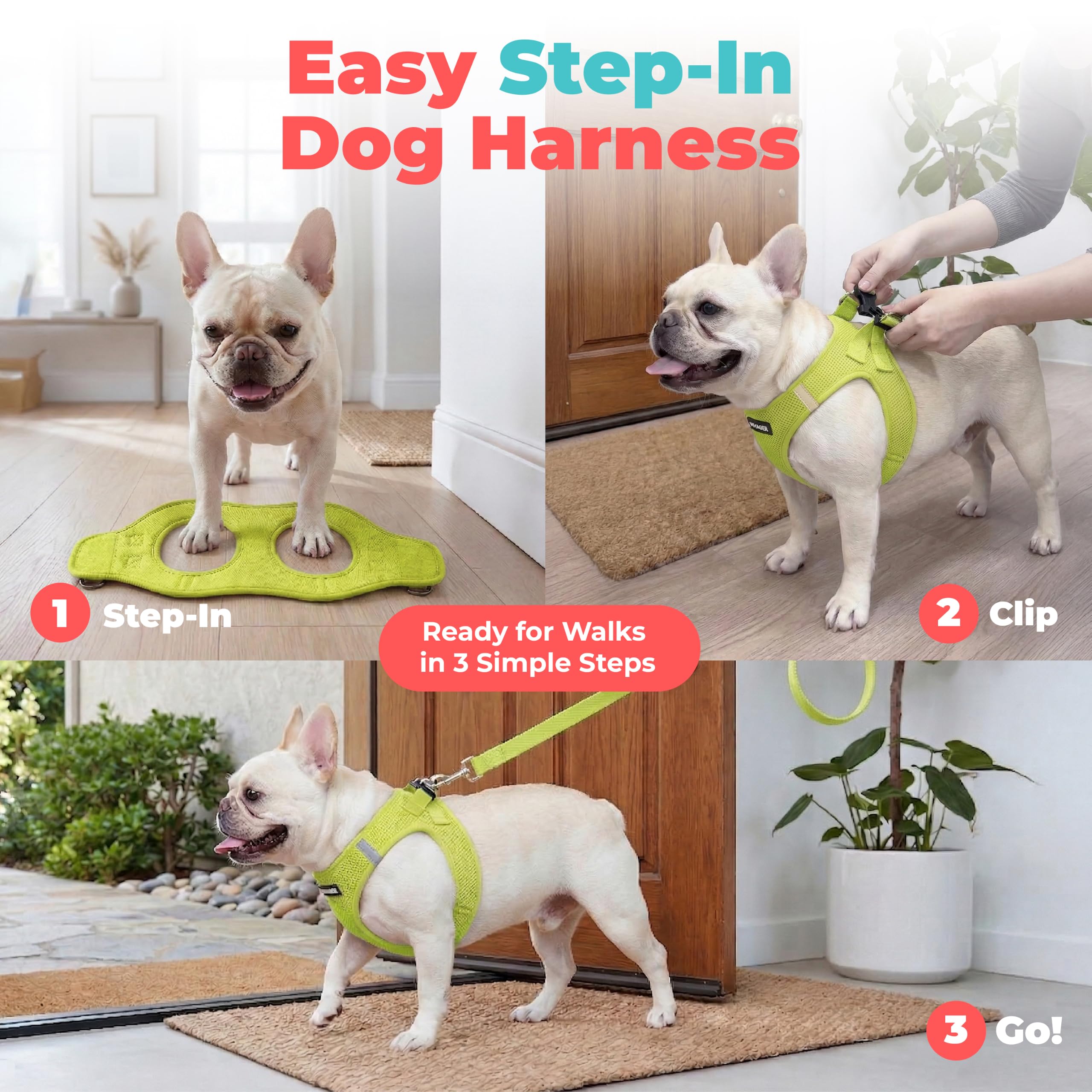 Best Pet Supplies bandes réfléchissantes visibles augmentant la sécurité en faible lumière