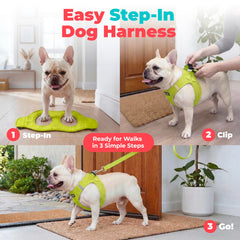 Best Pet Supplies bandes réfléchissantes visibles augmentant la sécurité en faible lumière