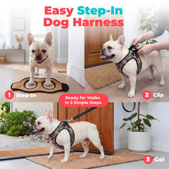 Best Pet Supplies bandes réfléchissantes visibles, sécurité améliorée dans l'obscurité