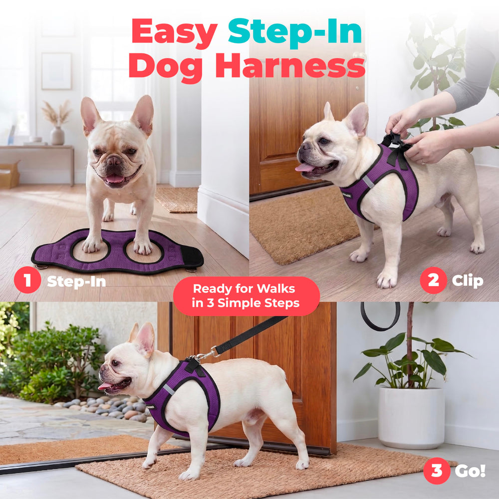Best Pet Supplies harnais Voyager bandes réfléchissantes visibles augmentant sécurité nocturne