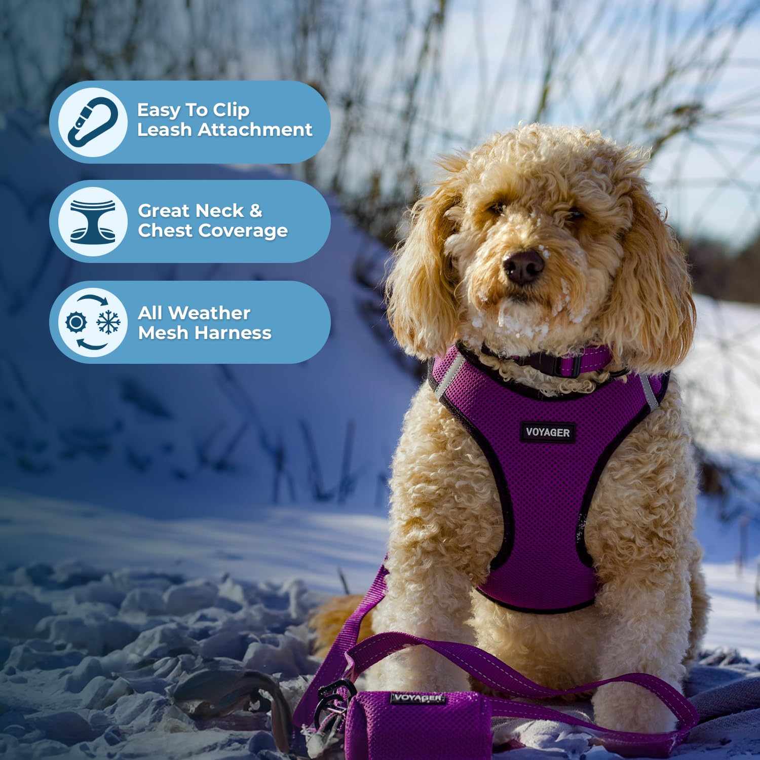 Best Pet Supplies bandes réfléchissantes visibles pour sécurité nocturne accrue