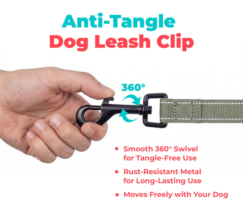 Best Pet Supplies laisse installée en parc illustrant sorties actives