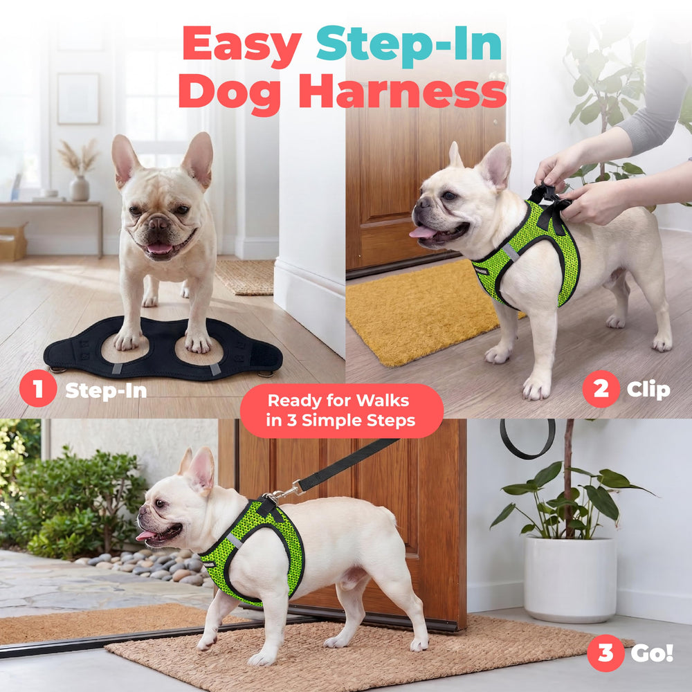 Best Pet Supplies boucle et velcro sécurisés pour maintien fiable