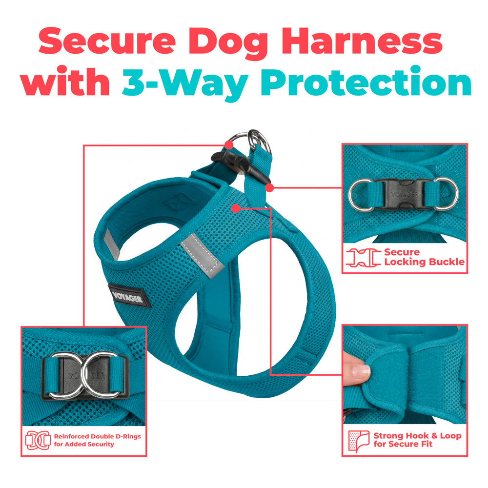 Best Pet Supplies dos du harnais montrant coupe enveloppante et respirabilité