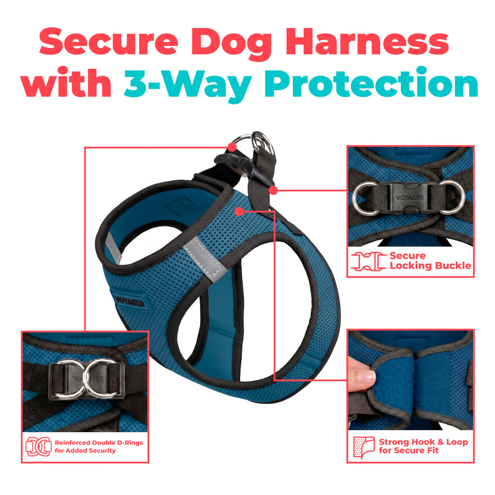 Best Pet Supplies harnais dos mettant en évidence les bandes réfléchissantes