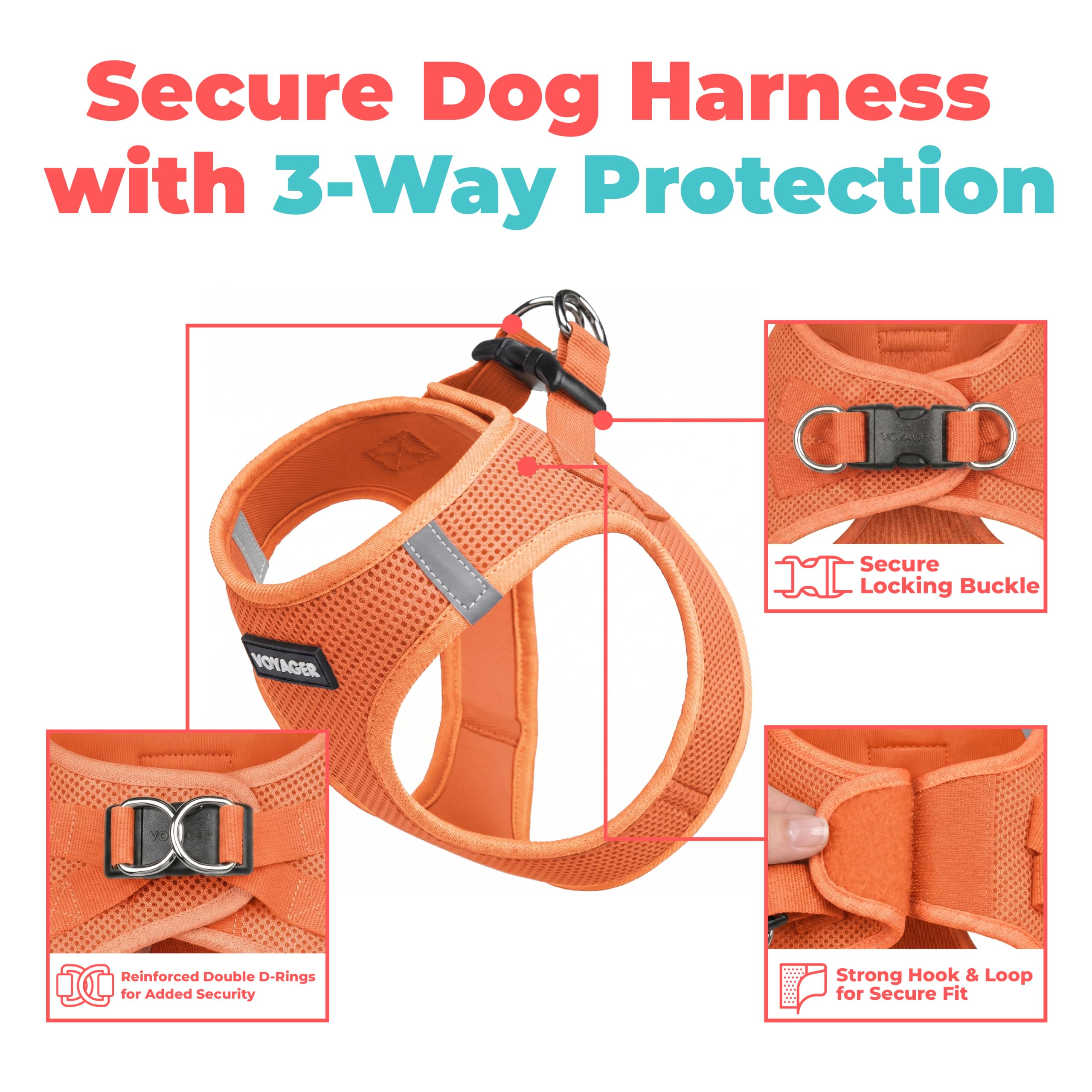 Best Pet Supplies harnais vue arrière assurant maintien sécurisé