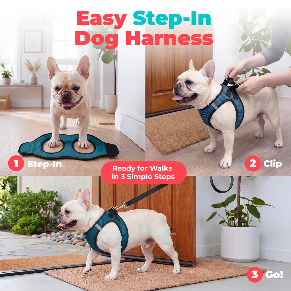 Best Pet Supplies harnais intérieur en maille aérée pour plus de confort