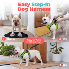 Best Pet Supplies bandes réfléchissantes visibles la nuit pour sécurité accrue