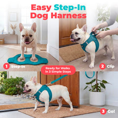 Best Pet Supplies gros plan tissu air mesh montrant légèreté et séchage rapide