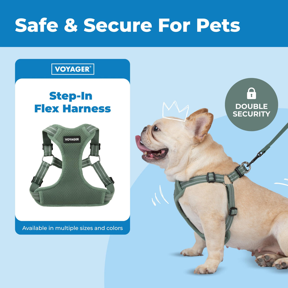 Best Pet Supplies harnais Voyager chien en promenade confort et contrôle
