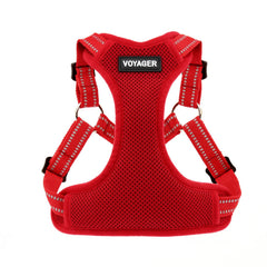 Best Pet Supplies harnais Voyager face avant montrant les boucles faciles et un bon maintien