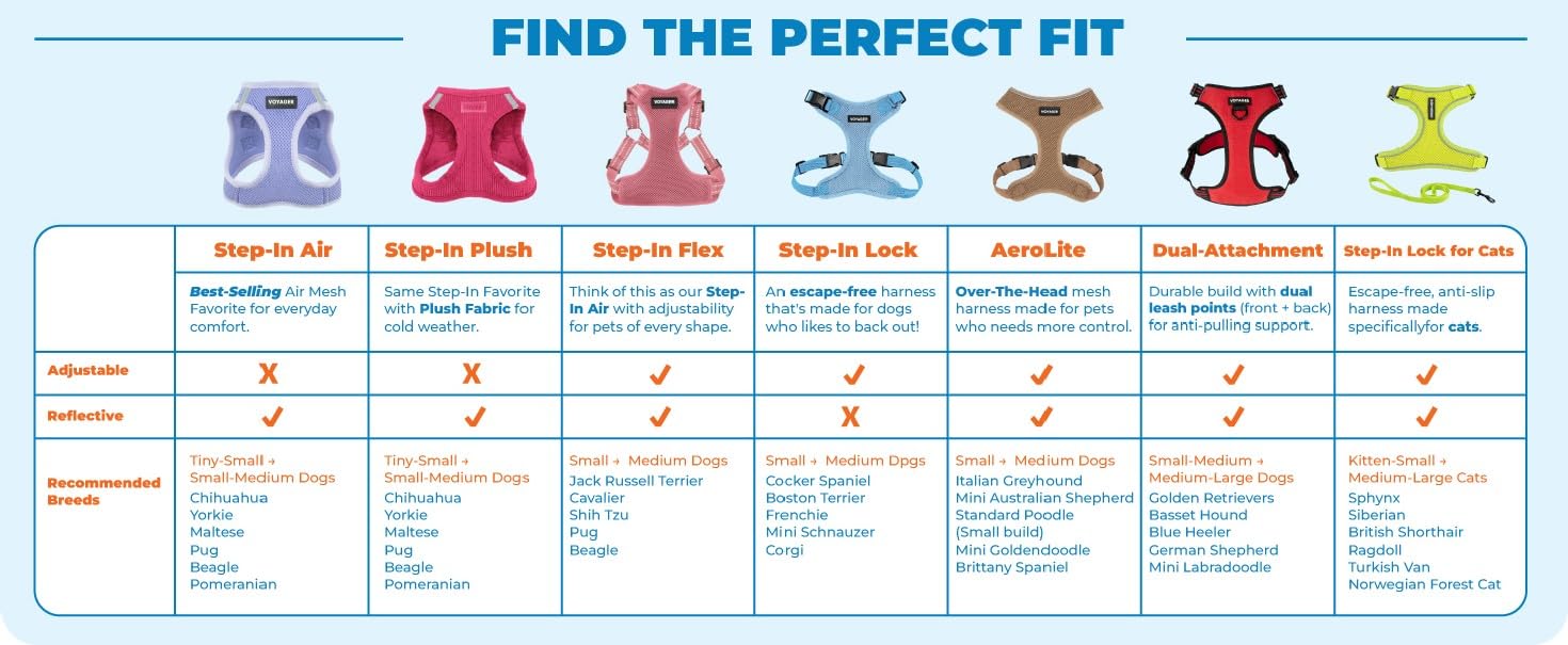 Best Pet Supplies harnais Voyager en contexte urbain pour sorties quotidiennes