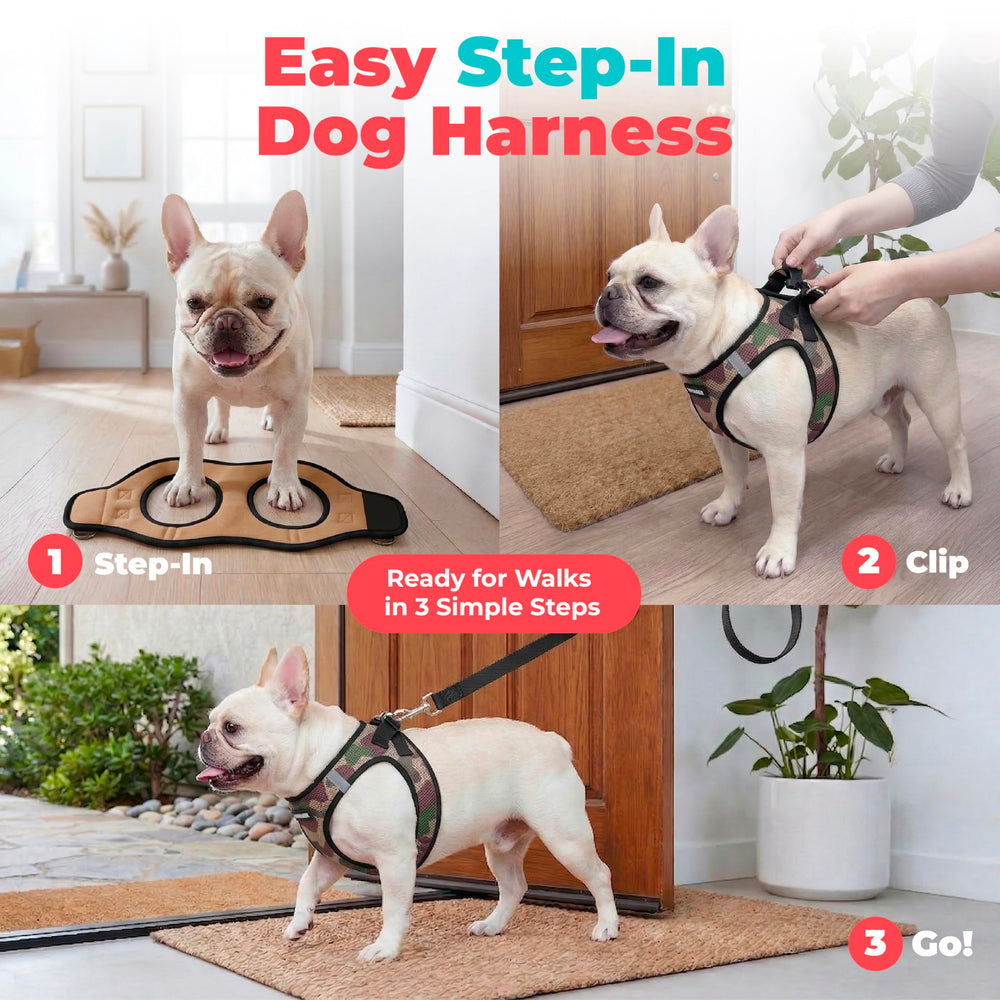 Best Pet Supplies bandes réfléchissantes visibles, sécurité renforcée en faible luminosité