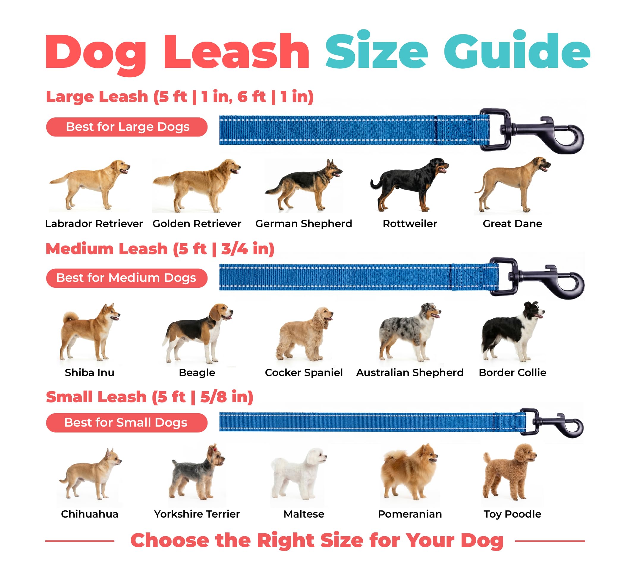 Best Pet Supplies comparaison taille à l'échelle, visualisation longueur 1,5 m