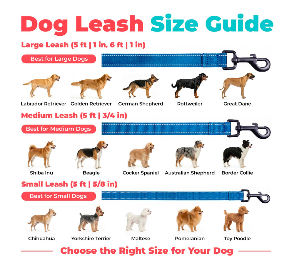 Best Pet Supplies comparaison taille à l'échelle, visualisation longueur 1,5 m