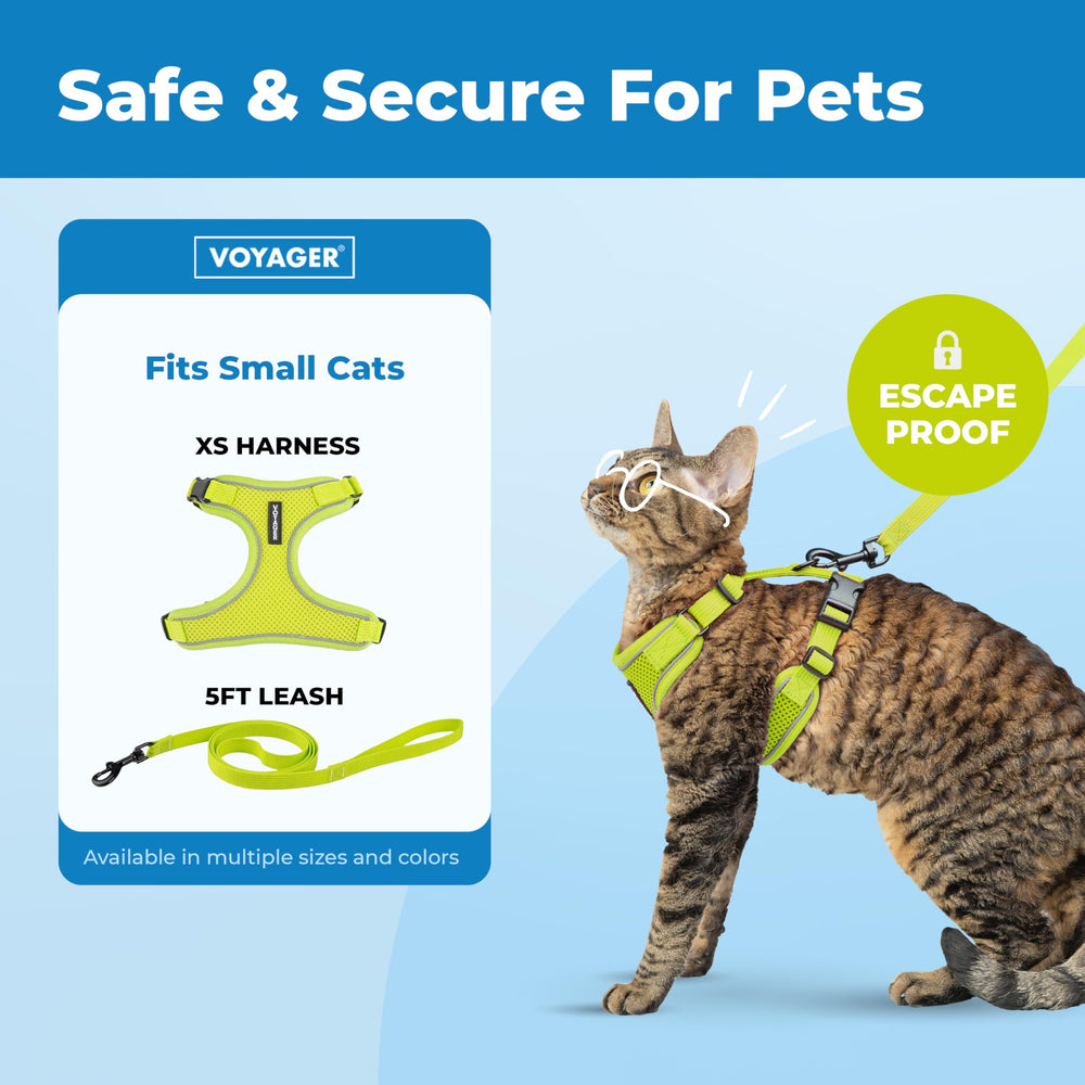 Best Pet Supplies texture maille aérée montrant confort respirant