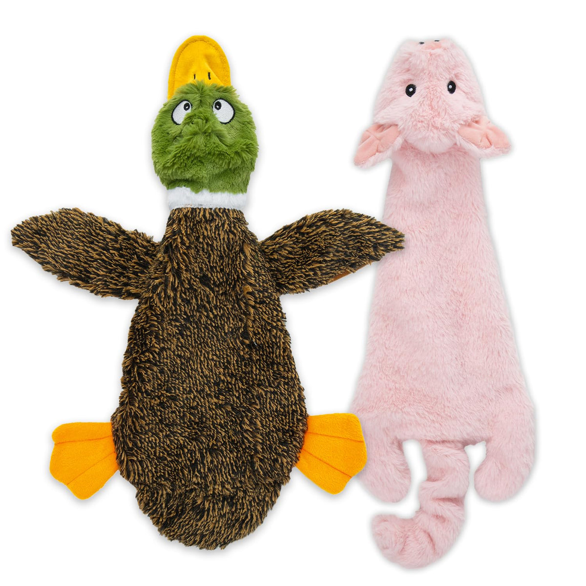 Best Pet Supplies visage du Wild Duck montrant l’expression attrayante et sécurité