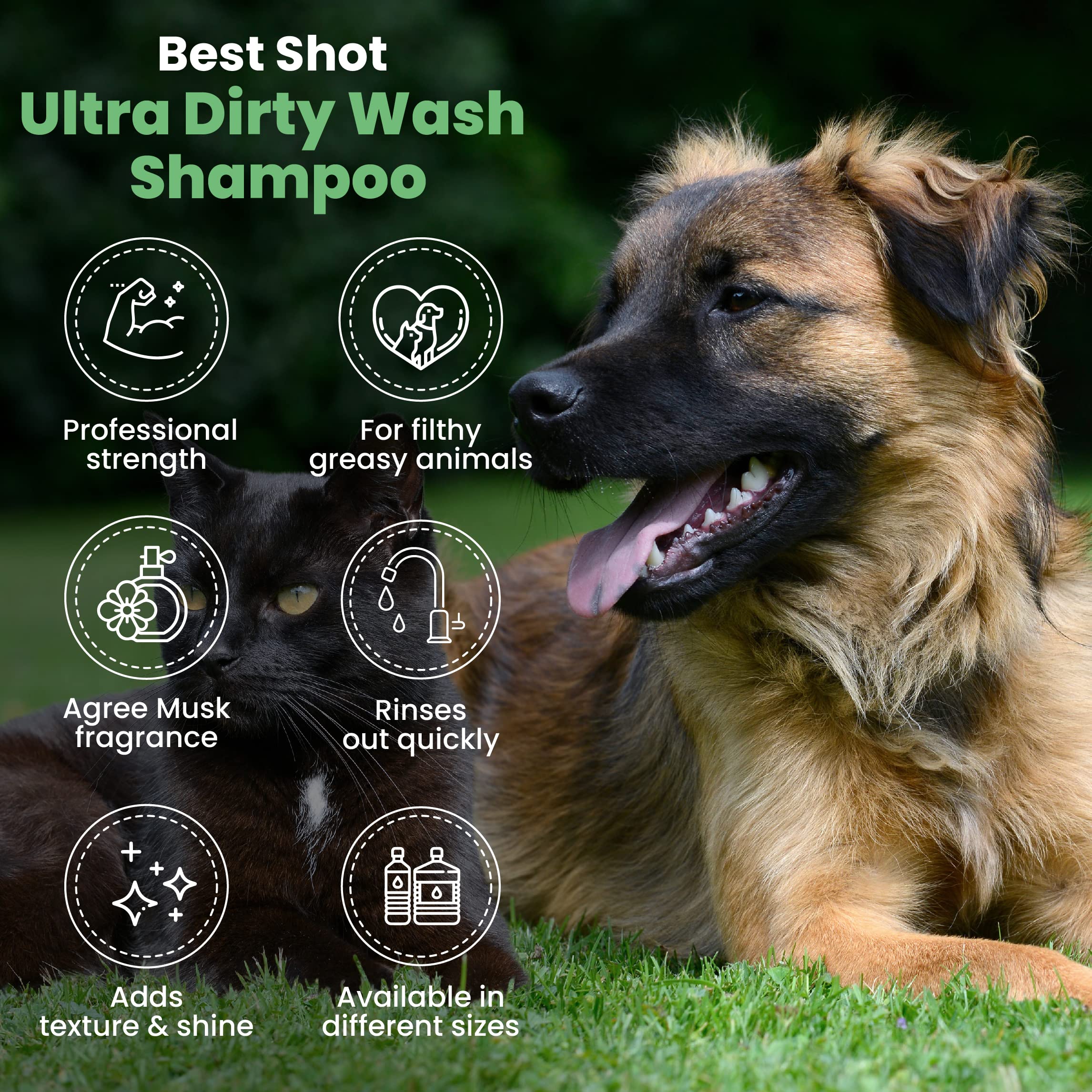 Best Shot chien en bain utilisant Ultra Dirty Wash pour pelage propre et moins de brossage